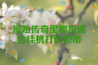 原始传奇里哪里适合挂机打传奇币