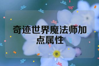 奇迹世界魔法师加点属性