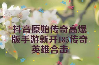 抖音原始传奇高爆版手游新开185传奇英雄合击