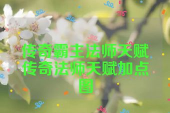 传奇霸主法师天赋传奇法师天赋加点图