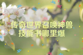 传奇世界召唤神兽技能书哪里爆