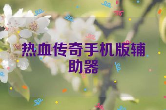 热血传奇手机版辅助器