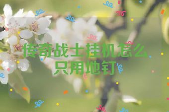 传奇战士挂机怎么只用地钉