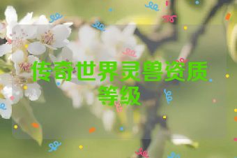传奇世界灵兽资质等级