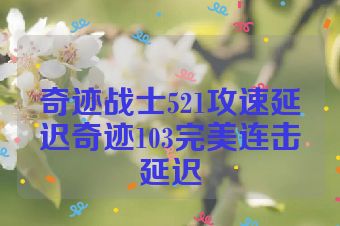 奇迹战士521攻速延迟奇迹103完美连击延迟