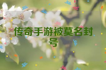 传奇手游被莫名封号