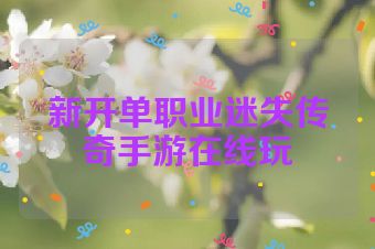 新开单职业迷失传奇手游在线玩