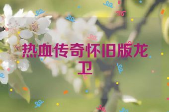 热血传奇怀旧版龙卫