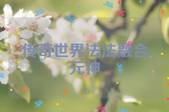传奇世界法法融合元神