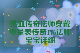 热血传奇法师穿戴重量表传奇176法师宝宝详细