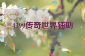 4399传奇世界辅助