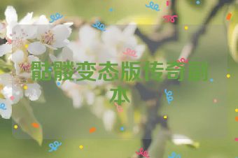 骷髅变态版传奇副本