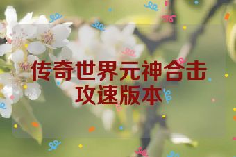 传奇世界元神合击攻速版本