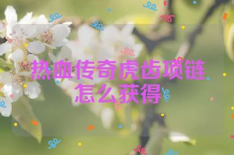 热血传奇虎齿项链怎么获得