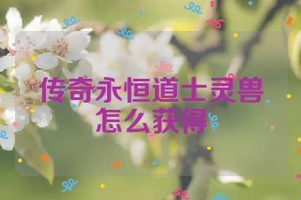 传奇永恒道士灵兽怎么获得