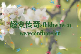 超变传奇sfhkhwhwcnwwwconfhotelcn
