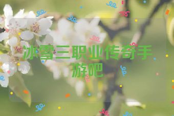 冰雪三职业传奇手游吧