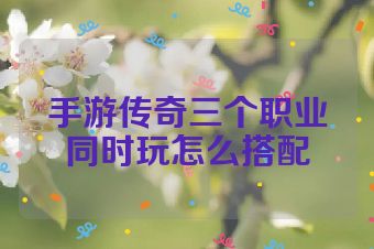 手游传奇三个职业同时玩怎么搭配