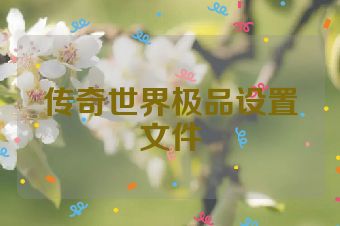 传奇世界极品设置文件