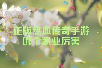正版热血传奇手游哪个职业厉害