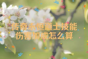 传奇永恒道士技能伤害加成怎么算