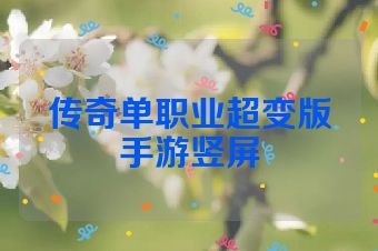 传奇单职业超变版手游竖屏