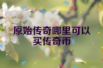 原始传奇哪里可以买传奇币