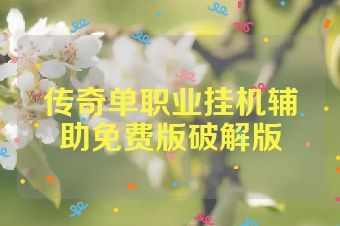 传奇单职业挂机辅助免费版破解版