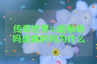 传奇世界3d能搬砖吗是真的吗为什么