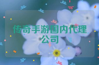 传奇手游国内代理公司