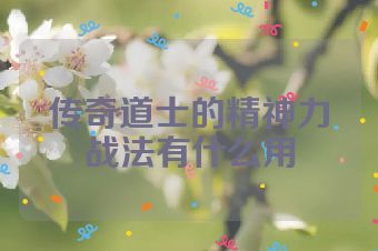 传奇道士的精神力战法有什么用