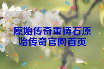 原始传奇重铸石原始传奇官网首页