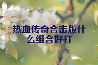 热血传奇合击版什么组合好打