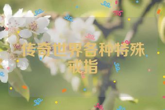 传奇世界各种特殊戒指