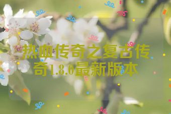 热血传奇之复古传奇1.8.0最新版本