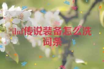dnf传说装备怎么洗词条