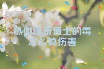 热血传奇道士的毒怎么算伤害