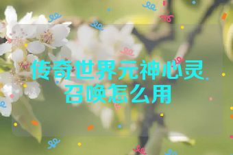 传奇世界元神心灵召唤怎么用