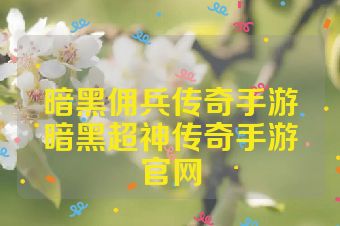 暗黑佣兵传奇手游暗黑超神传奇手游官网