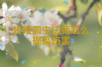 传奇霸主法师怎么提高伤害