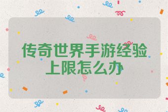 传奇世界手游经验上限怎么办