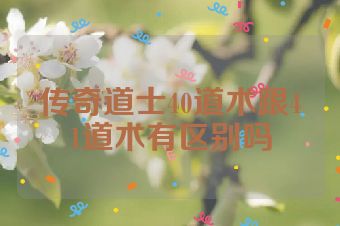 传奇道士40道术跟41道术有区别吗