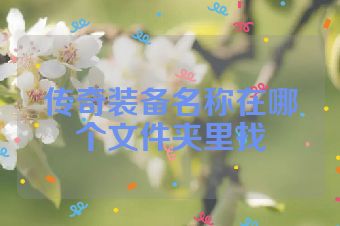 传奇装备名称在哪个文件夹里找