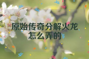 原始传奇分解火龙怎么弄的