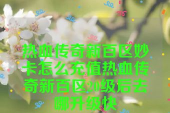 热血传奇新百区妙卡怎么充值热血传奇新百区20级后去哪升级快