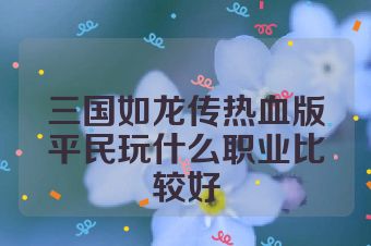 三国如龙传热血版平民玩什么职业比较好
