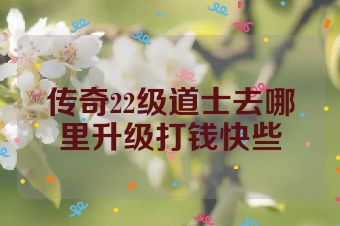 传奇22级道士去哪里升级打钱快些