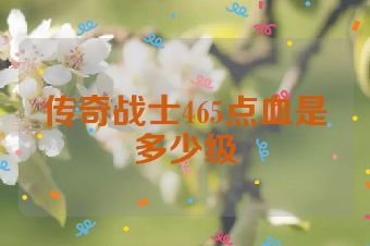 传奇战士465点血是多少级