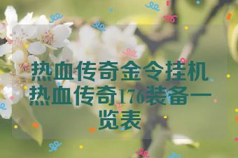 热血传奇金令挂机热血传奇176装备一览表