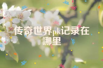 传奇世界pk记录在哪里